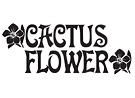 Poster for the 'Cactus Flower'
